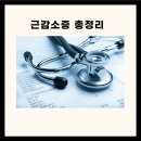 근감소증 근감소증 예방 위한 단백질 식품 10가지 근감소증 치료제 근감소증 증상 이미지