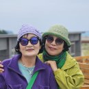 (3/22~3/25일) 제주도 자유여행 후기~~ 이미지