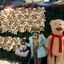 뚱새스테이 이미지