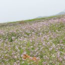 용머리주유소 | 제주도렌트카 5박 6일 장기여행! 추천 정보 알려드립니다!