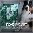 주메디 | 메디퍼피 강아지 관절사료 추천 노견 노령견 사료