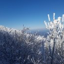 팔공산 눈 산행 이미지