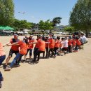 영순초등학교 이미지