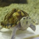 자연아 놀자 이미지