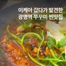 소라농장 | 광명역 맛집 저녁 추천, 남편과 다녀온 이케아 근처 정이품쭈꾸미
