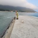 금장해수욕장 이미지