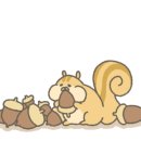 구름 펫 살롱 이미지