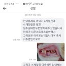 도란도란동물병원 이미지