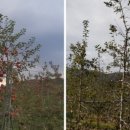 드림농원 이미지