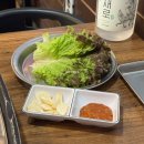 청춘냉동삼겹살 | 당산역 청춘냉동삼겹살 늦은점심으로 방문하고 온 내돈내산 솔직후기