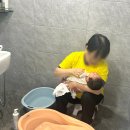 이레짐 | 산후도우미 선택 팁, 경기도 부천 산후도우미 이레아이맘 이용후기 김민서 산후도우미님 추천