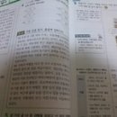 H3951 네이버블로그