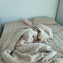 복터진강아지 이미지