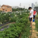 민석농장 2 이미지