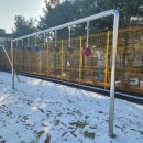 수원매화초등학교 이미지