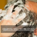 지예헤어샵