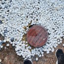 동고라미펜션 이미지