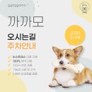 까까모 이미지