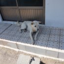 별촌민박