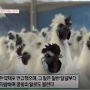 굿모닝베이커리