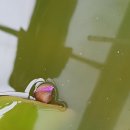 티나하우스 이미지