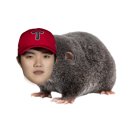 '와 노히트+데뷔 첫승' KIA 신성 사고쳤다, 4연승 질주…박재현 결승타+김도영 싹쓸이[고척 리뷰] 이미지