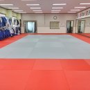 용인대 정진 유도관 이미지