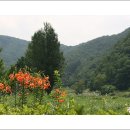 맑은바람 이미지