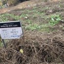 수원-1345 이미지