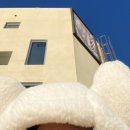 남포노래연습장 | [영도 겨울 가볼만한 곳] 곰 세 마리의 흰여울 문화마을 나들이 ʕっ•ᴥ•ʔっ