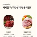 펫플러스라이프 | [배송 맛집] 무항생제 국내산 돼지고기 찌개 혼밥 레시피 더한우플러스