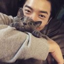 개의온도 이미지