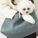 439 이미지