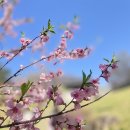 사랑의 하트 💖 시간이예요 ~~에밀스님들 하트사랑 가수님께 보내주세요 ^^ 이미지