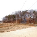 대월초교 이미지