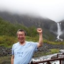 회안 Daum카페