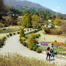 홍익펜션 이미지