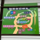 밀양 서당골 캠핑장 도라지 1 2박 3일 후기