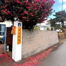 제주도 조용한 게스트 하우스 시골집감성 제조게하 산방산점