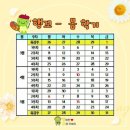 행복한 꼬마 거북이 | 행꼬 (행복한 꼬마 거북이) 한달 후기🐢