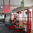 바디나믹 이미지