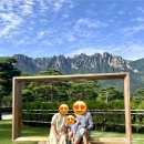 황부자뷔페 | 아이랑 함께하는 속초 고성 2박 3일 여행코스
