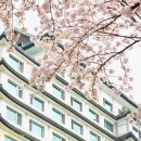 2호선 중동역 1번출구 이미지