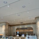 애견운동공원(11~2월) | [일상 기록] 26년 2월 3주차 - 잘 쉬었던 연휴ㅣ묵호 혼자 여행, 일 스트레스는 계속된다