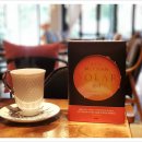 솔라이언 이미지