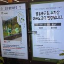 원지어린이공원 | 수원 영흥수목원 주차 요금부터 입장료 할인까지 완전정복 | 겨울 실내 데이트 추천