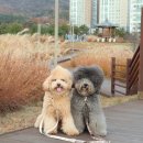 창리근린공원 이미지