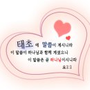 요디자인
