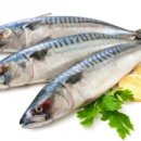 푸른휘트니스 이미지