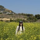 디케이하우스 | 나인어코드 선글라스 Horn D.K 브라운스모그 착용 후기, 요즘 자주 쓰는 선글라스